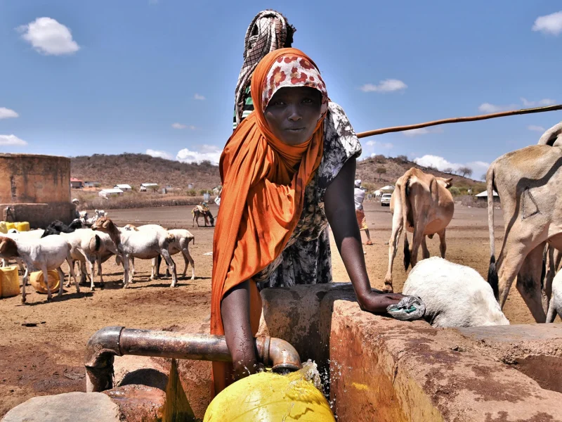 kenya-drought-lead.webp kenya-drought-lead.webp